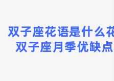 双子座花语是什么花 双子座月季优缺点